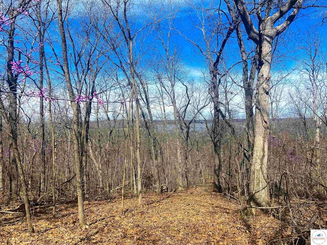 TBD NE 779th Rd, Lowry City, MO 64763 - photo 5