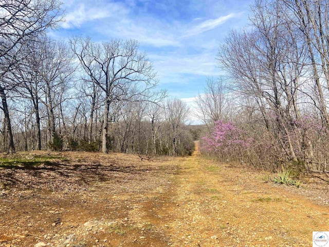 TBD NE 779th Rd, Lowry City, MO 64763 - photo 16