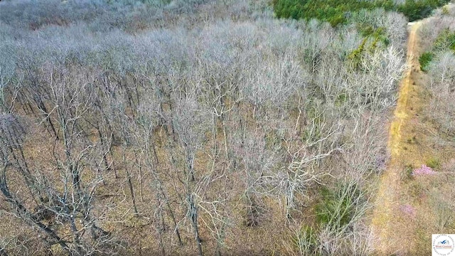 TBD NE 779th Rd, Lowry City, MO 64763 - photo 15