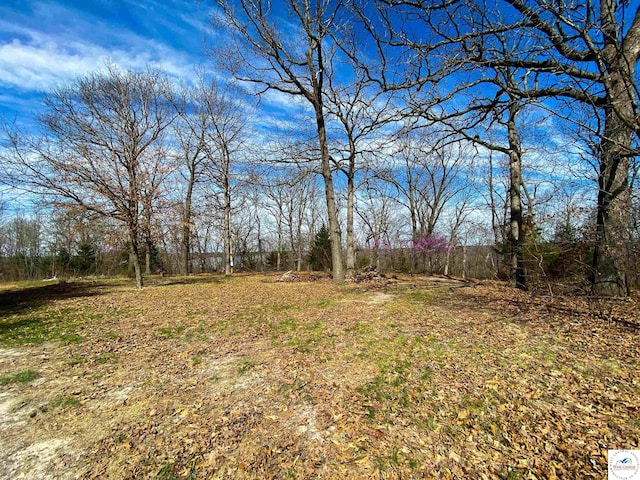 TBD NE 779th Rd, Lowry City, MO 64763 - photo 11