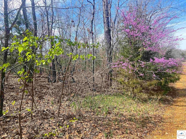 TBD NE 779th Rd, Lowry City, MO 64763 - photo 13