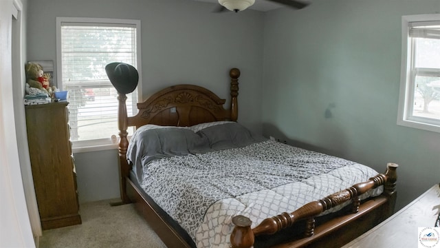 252 Shawn Ave, Lincoln, MO 65338 - carpeted bedroom featuring multiple windows