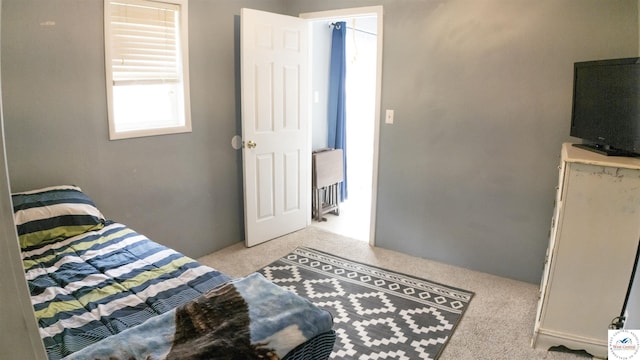 252 Shawn Ave, Lincoln, MO 65338 - bedroom featuring light colored carpet