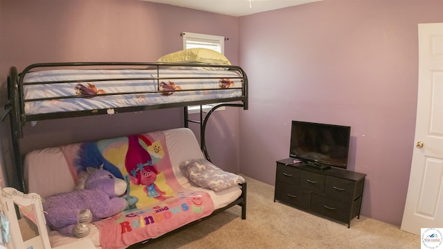 252 Shawn Ave, Lincoln, MO 65338 - bedroom with light carpet