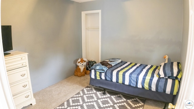 252 Shawn Ave, Lincoln, MO 65338 - view of carpeted bedroom