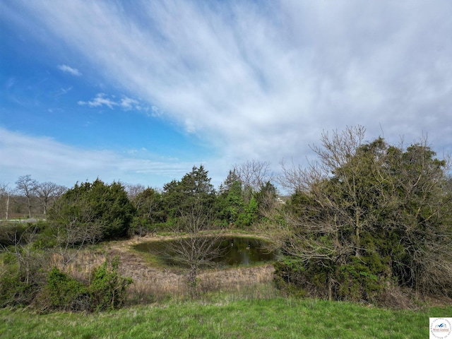 807 W 7th St, Lowry City, MO 64763 - photo 15