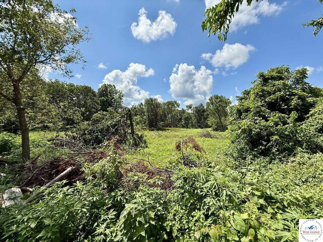 9492 SE Z Hwy, Deepwater, MO 64740 - photo 6