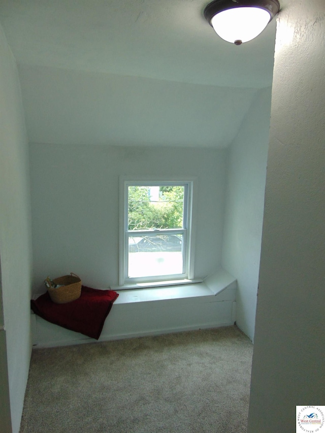 311 N Water St, Clinton, MO 64735 - spare room featuring lofted ceiling and carpet