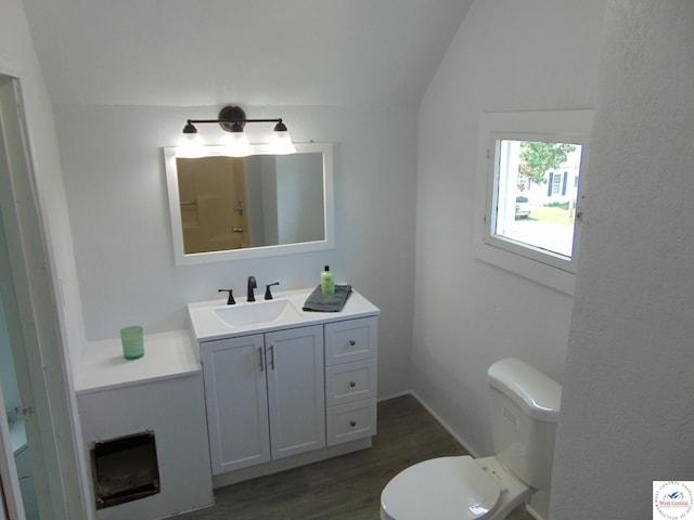 311 N Water St, Clinton, MO 64735 - bathroom featuring vaulted ceiling, wood finished floors, toilet, and vanity