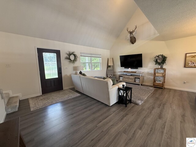 225 Crescent Dr, Lincoln, MO 65338 - living room with dark wood-style flooring and lofted ceiling