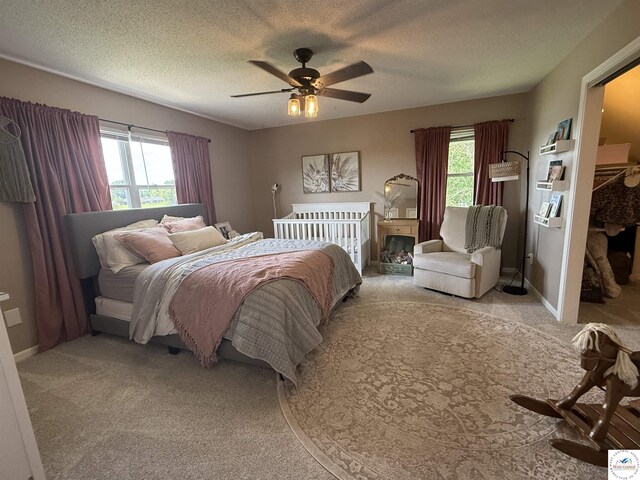 225 Crescent Dr, Lincoln, MO 65338 - bedroom with multiple windows, carpet flooring, a ceiling fan, and a textured ceiling