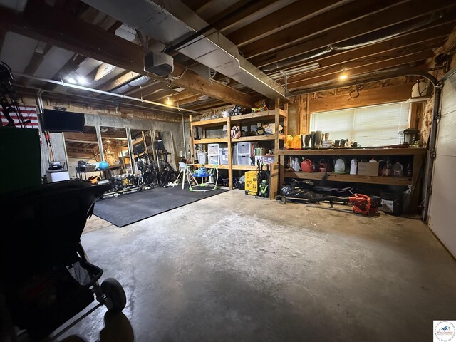 225 Crescent Dr, Lincoln, MO 65338 - basement featuring a workshop area