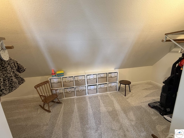 225 Crescent Dr, Lincoln, MO 65338 - living area with carpet floors and lofted ceiling