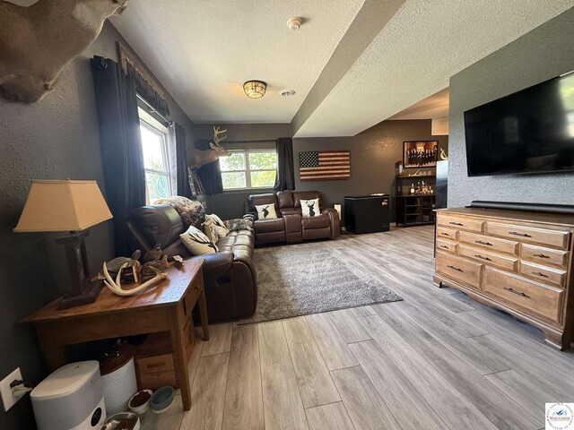 225 Crescent Dr, Lincoln, MO 65338 - living area featuring light wood-style flooring, a textured ceiling, and a textured wall