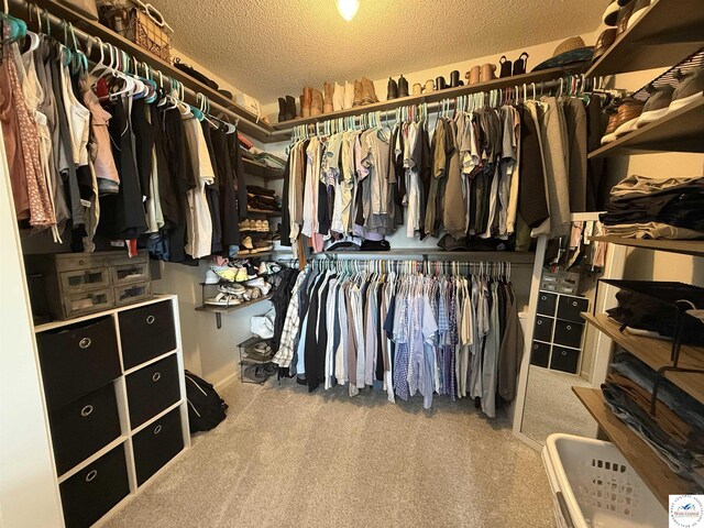 225 Crescent Dr, Lincoln, MO 65338 - walk in closet featuring carpet floors