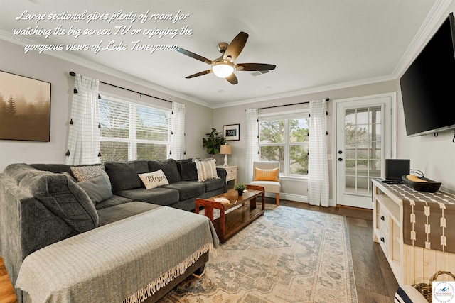 living room featuring a ceiling fan, wood finished floors, and a healthy amount of sunlight