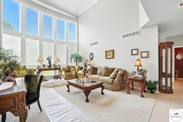 414 S Borgman Rd, Buckner, MO 64016 - living room with a towering ceiling, light tile patterned flooring, and crown molding