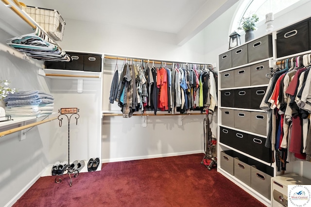 414 S Borgman Rd, Buckner, MO 64016 - walk in closet with carpet