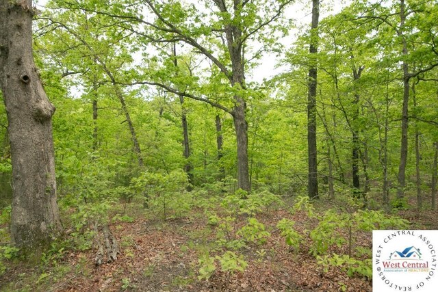 000 Old Nonsuch Rd, Camdenton, MO 65020 - photo 31