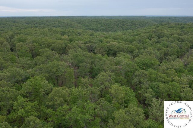 000 Old Nonsuch Rd, Camdenton, MO 65020 - photo 30