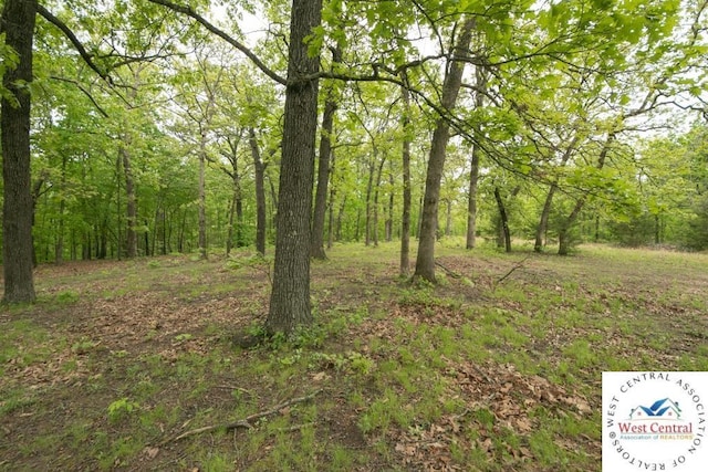 000 Old Nonsuch Rd, Camdenton, MO 65020 - photo 23