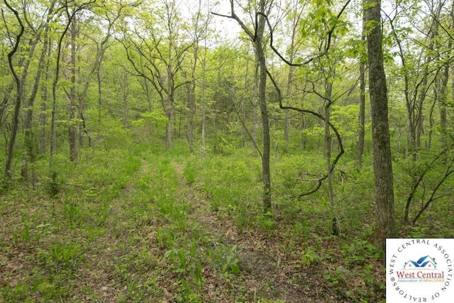 000 Old Nonsuch Rd, Camdenton, MO 65020 - photo 12