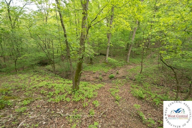 000 Old Nonsuch Rd, Camdenton, MO 65020 - photo 5