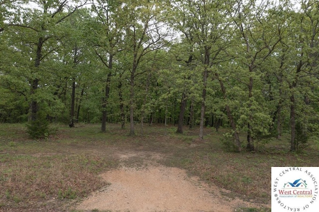 000 Old Nonsuch Rd, Camdenton, MO 65020 - photo 33