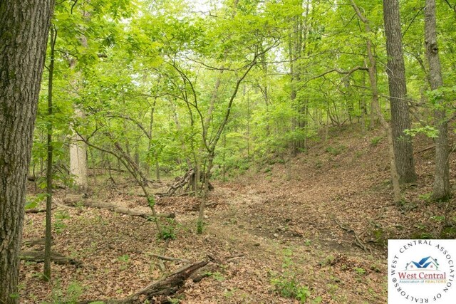 000 Old Nonsuch Rd, Camdenton, MO 65020 - photo 26