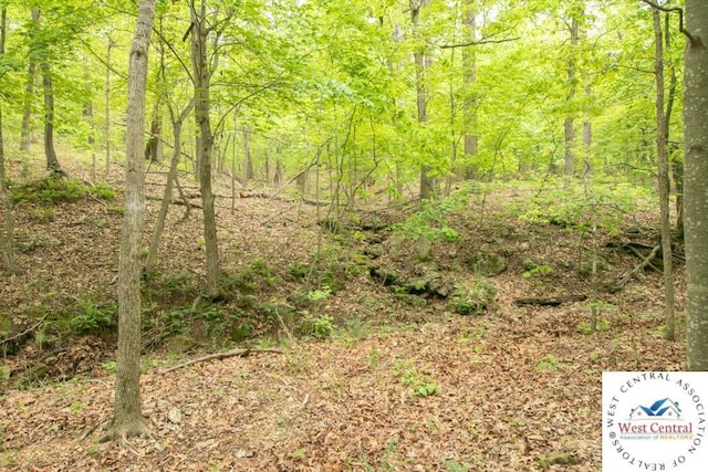 000 Old Nonsuch Rd, Camdenton, MO 65020 - photo 27