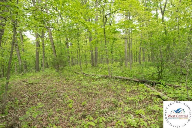 000 Old Nonsuch Rd, Camdenton, MO 65020 - photo 8