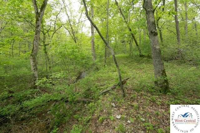 000 Old Nonsuch Rd, Camdenton, MO 65020 - photo 9