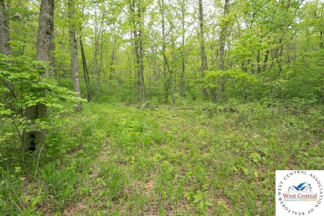 000 Old Nonsuch Rd, Camdenton, MO 65020 - photo 15