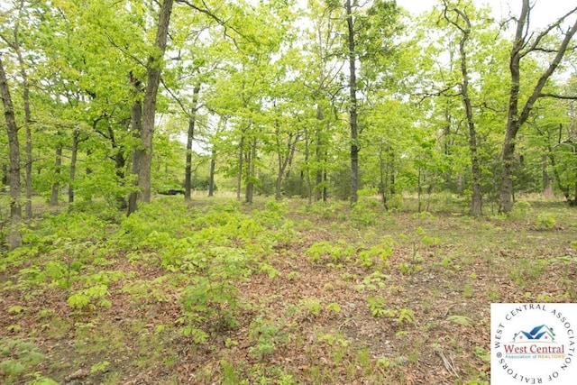 000 Old Nonsuch Rd, Camdenton, MO 65020 - photo 28