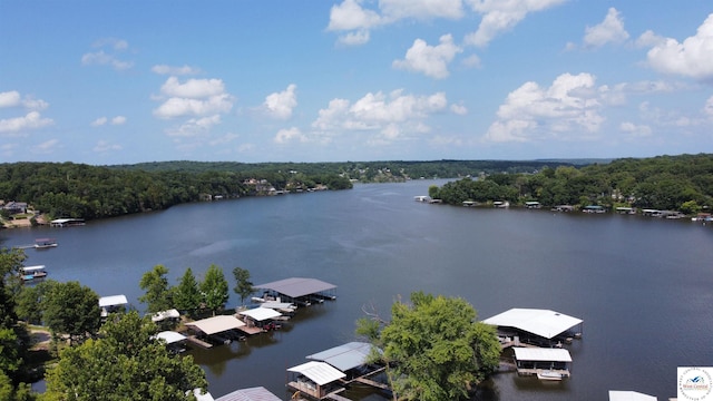 29686 Lake Road 57 Rd, Warsaw, MO 65355 - photo 11