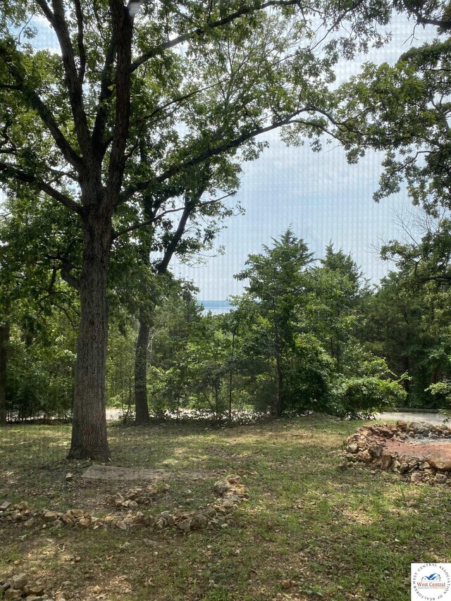 view of yard featuring a wooded view