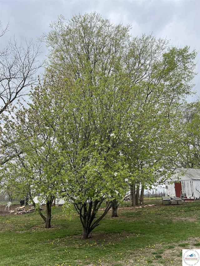 view of yard with an outdoor structure