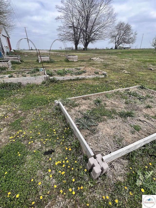 view of yard featuring a garden