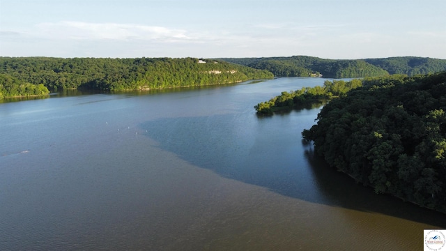 33176 Cooney Rd, Lincoln, MO 65338 - photo 9