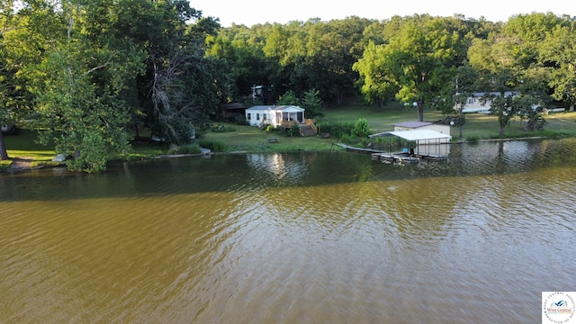 33176 Cooney Rd, Lincoln, MO 65338 - photo 34