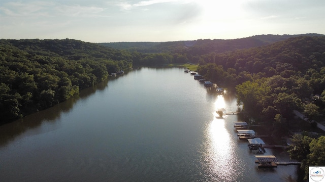 33176 Cooney Rd, Lincoln, MO 65338 - photo 10