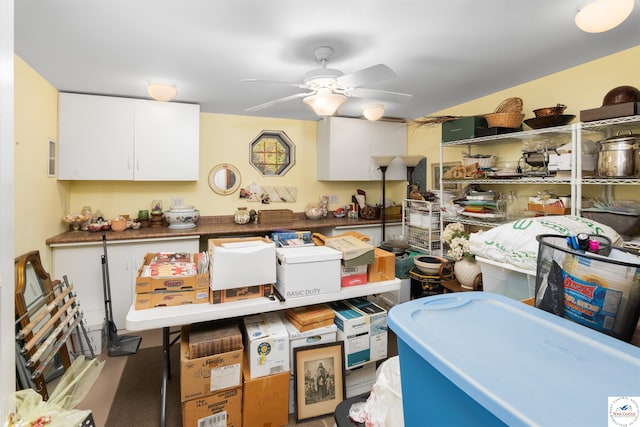 storage area with ceiling fan