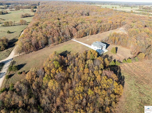 19166 Brockman Ave, Cole Camp, MO 65325 - bird's eye view with a rural view and a forest view