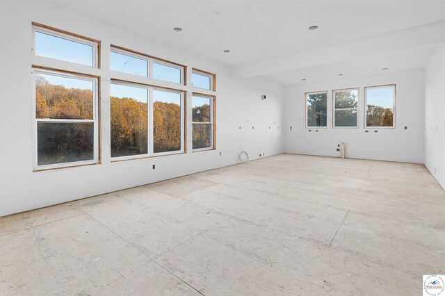 19166 Brockman Ave, Cole Camp, MO 65325 - unfurnished room with radiator