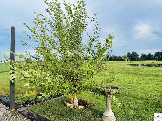 15534 Franklin Rd, Green Ridge, MO 65332 - photo 41
