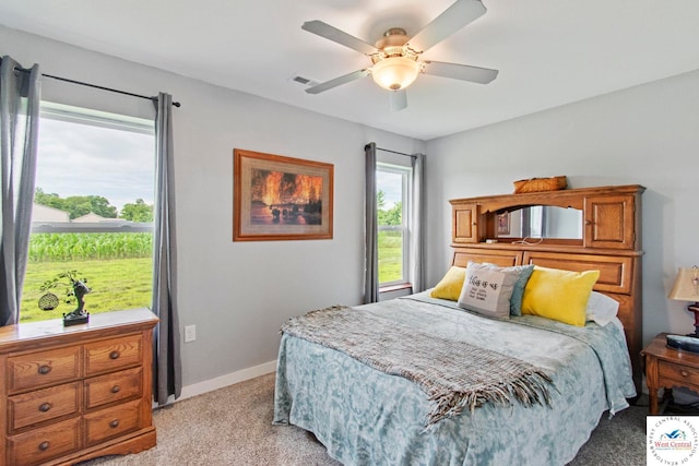 15534 Franklin Rd, Green Ridge, MO 65332 - photo 25