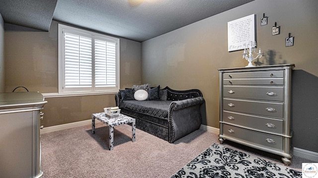 4517 NE Fairway Homes Dr, Lees Summit, MO 64064 - sitting room featuring a textured ceiling and carpet