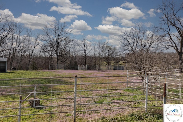24401 Black Hawk Trl, Cole Camp, MO 65325 - view of yard with a view of rural / pastoral area