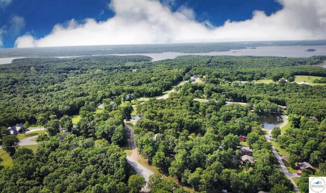 26112 Georgetown Ave, Warsaw, MO 65355 - aerial view with a water view and a forest view