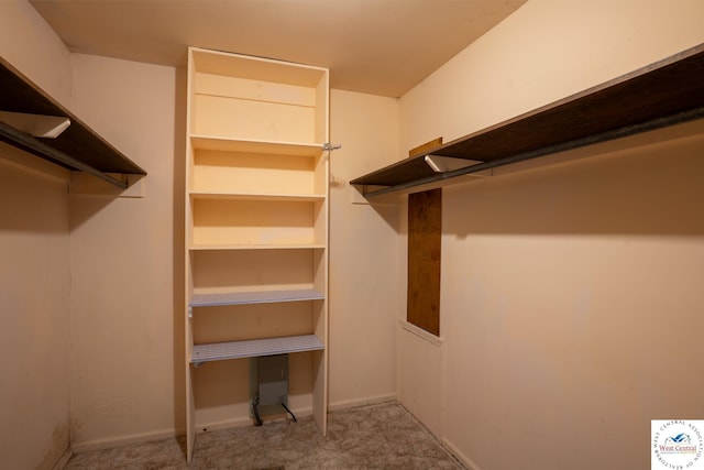 walk in closet featuring carpet